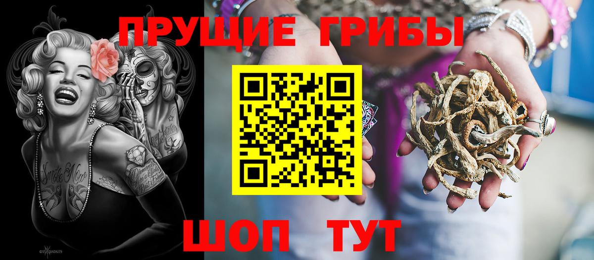 Назарово  Псилоцибиновые грибы Cubensis  Вход с VPN 
