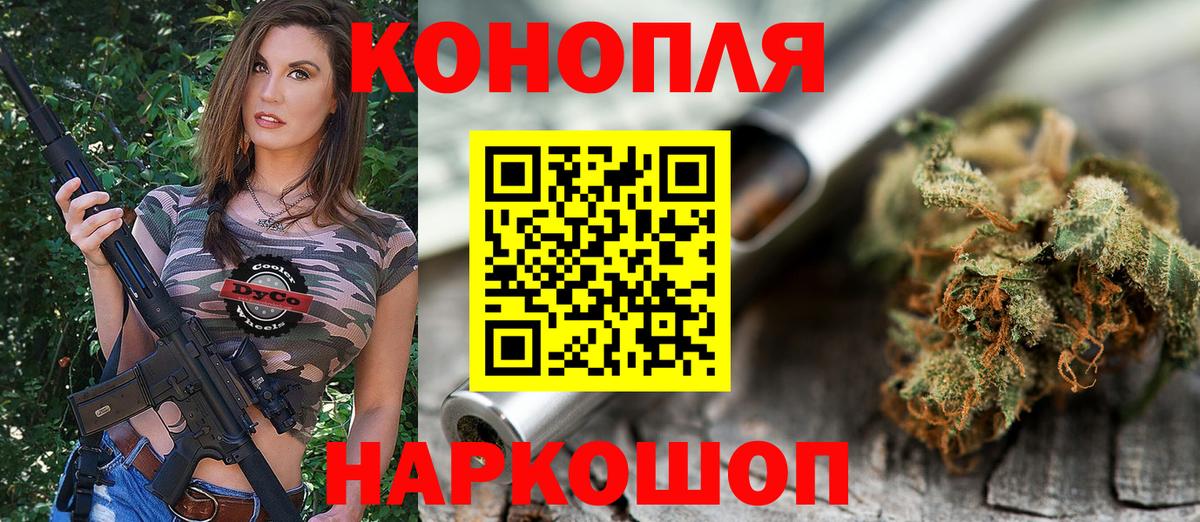 Каннабис план Назарово